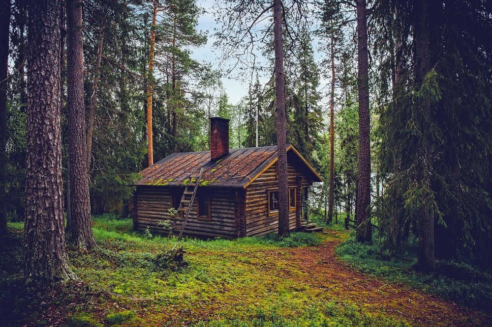 finlandiya neden dunyanin en mutlu ulkesi konumunda